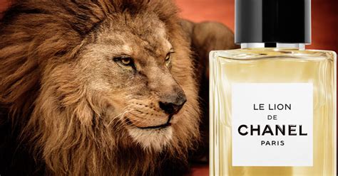 le lion chanel fragrantica|chanel le lion perfume sample.